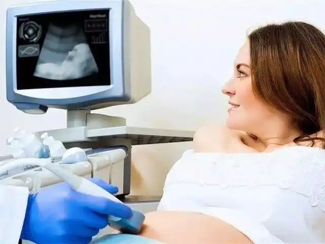 四个月的胎儿是什么样子?怎么样可以看看图片呢?