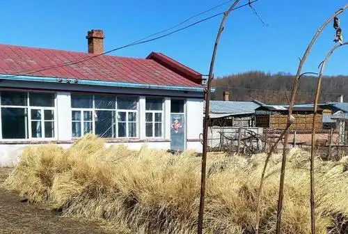 东北农村旅游,草房雪堆别有一番风味