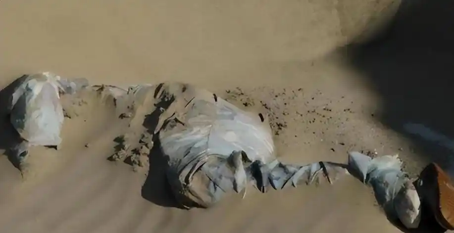 纪实:罗布泊突现神秘干尸,调查后发现:居然是失踪58年的志愿功臣