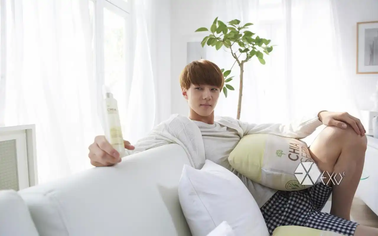 养眼帅哥exo吴世勋高清电脑桌面壁纸第二辑