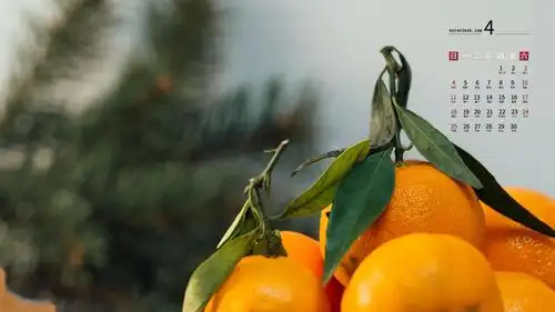 2021年4月酸甜可口的橘子日历,月历壁纸-回车桌面