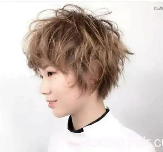 头发细软发量少,准备烫短卷发,应该弄什么卷比较好?_发型