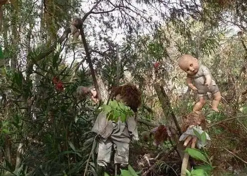 王坏的相册墨西哥娃娃岛神秘诡异令人毛骨悚然