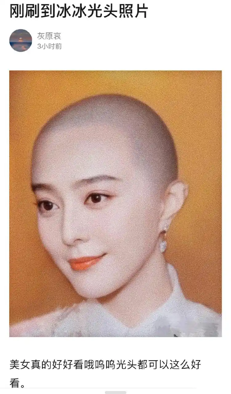 虽然范冰冰没有剃过光头,但有一说一,范冰冰光头造型一点违和感都没有