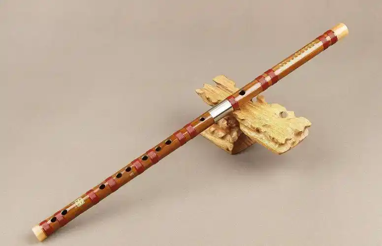 杭锦旗修远少儿艺术培训学校成人免费民族乐器培训圆满落幕