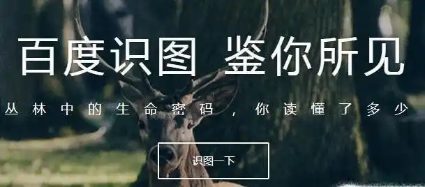 百度识图功能怎么用怎么用百度找到一张相似的图片