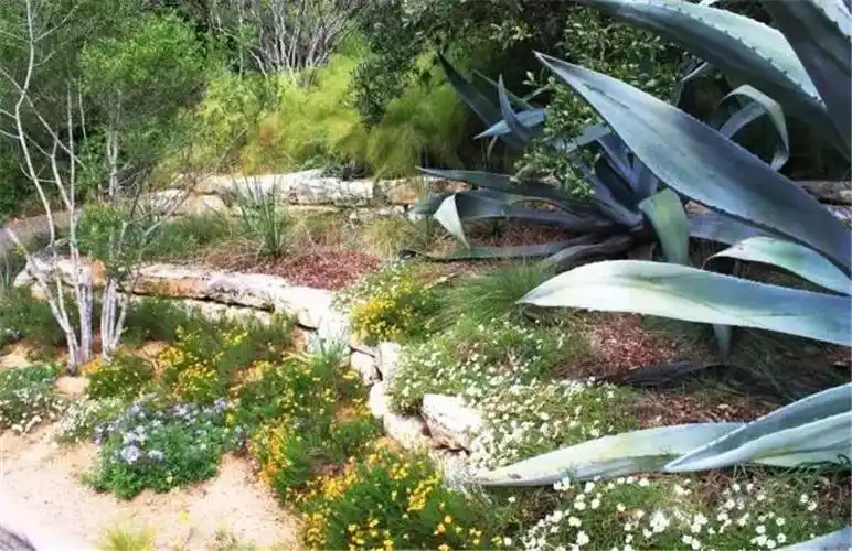 轻松周末 |植物配置 · 雨水花园里的那些植物们
