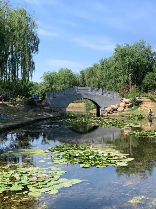 平顶山鹰城文化广场夏季景色