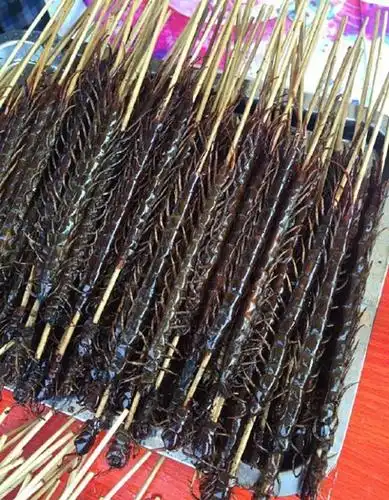 烤蜈蚣但是在烧烤界却是有几样让很多人望而却步的美食,别说流口水光
