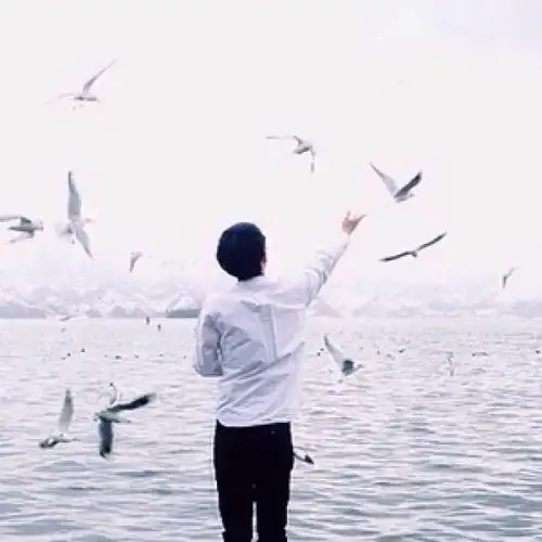 [最爱男头line] 男头 背影 精选 scavengers.