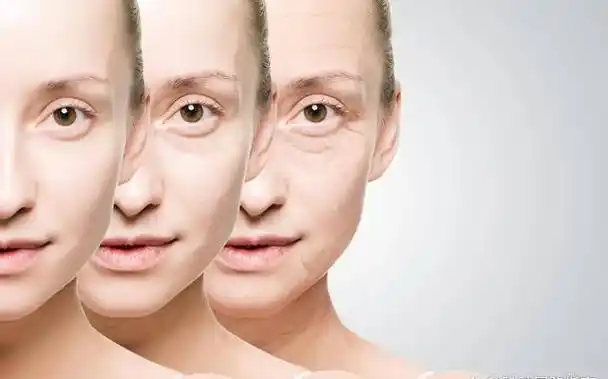 胶原蛋白紧致皮肤吗