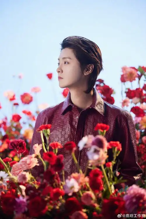 好像王子一样鹿哥又又又又又帅了!#鹿晗玫瑰花海图