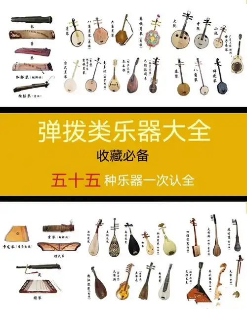 弹拨乐器是指用手指,拨子拨弦,或用琴竹击弦而发音的乐器统称