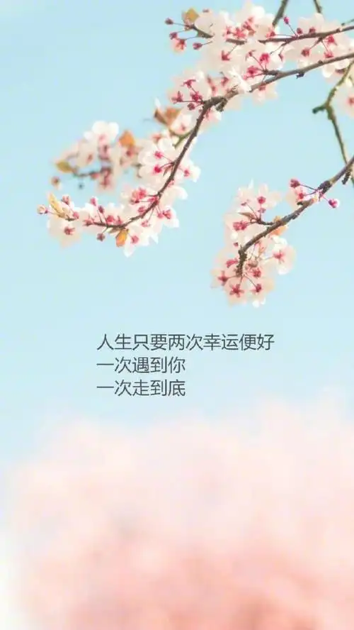 最佳有内涵唯美的句子