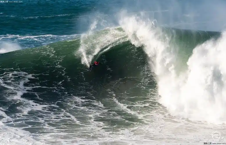 帝舵表巨浪将至