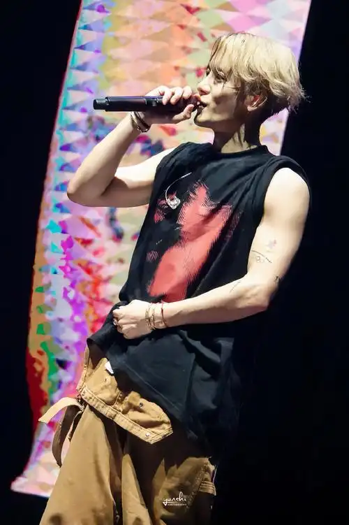 王嘉尔##王嘉尔演唱会