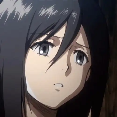 进击的巨人【三笠 阿克曼】头像精选_网络