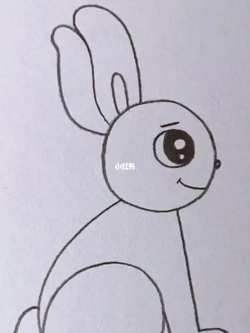 用60画漂亮的兔子