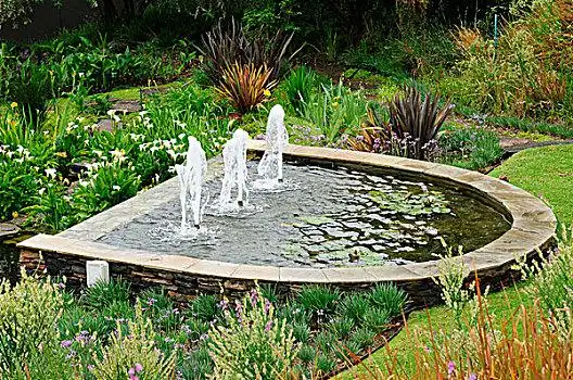 水池,石头,围绕,小,喷泉,多样,开花植物,花园