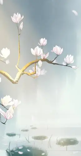 高清手机壁纸‖中国风-玉兰花开在霓裳片片晚妆新