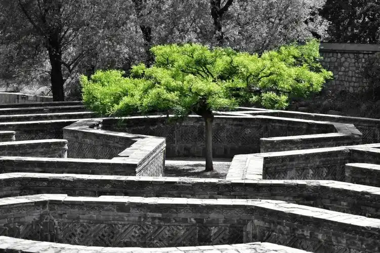 圆明园拍照攻略历史新生