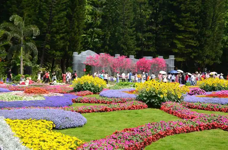 2021粤港澳大湾区深圳花展