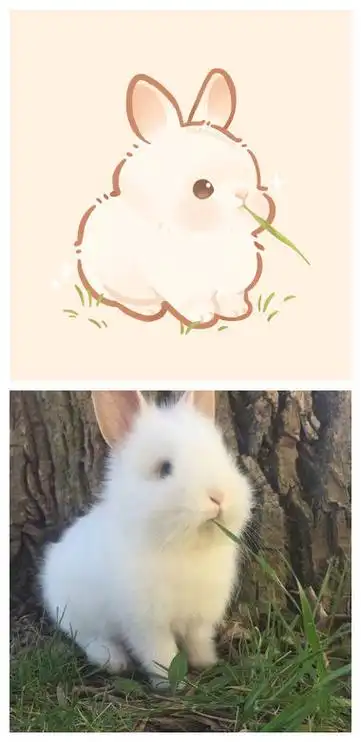 把小动物们的表情包画成漫画!救命,萌翻了.马住!#漫画##二次元