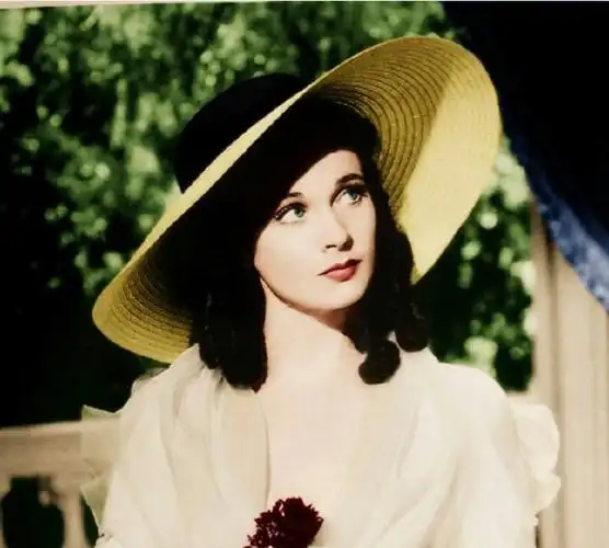 郝思嘉:一个像猫一样虚荣的女人,背后却散发着真善美的光芒.