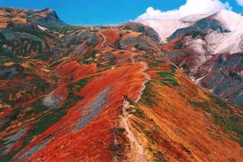 长白山老虎背_长白山老虎背_长白山旅游攻略_长白山景点_长白山旅游住