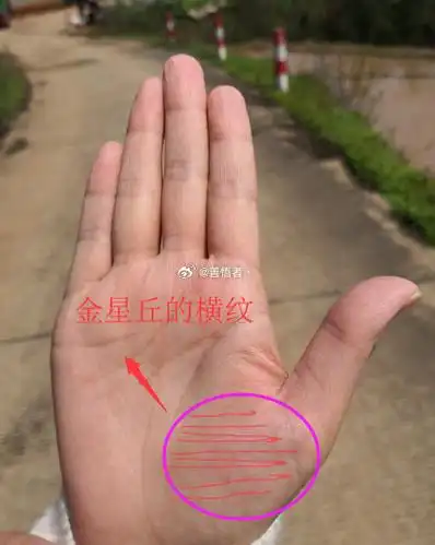 手相干货:金星丘上的横纹是好是坏?