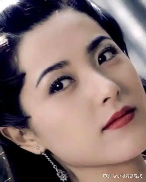 何晋龙解读曾黎到底有多美