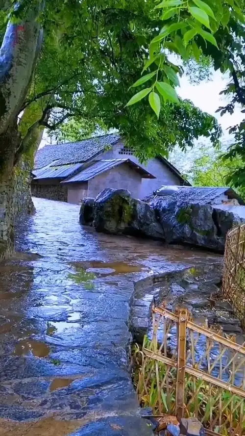 若能安静的享受平凡,便会发现……平凡的生活才是最舒服的状态