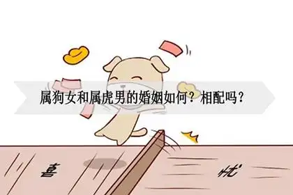 属狗女和属虎男的婚姻如何相配吗