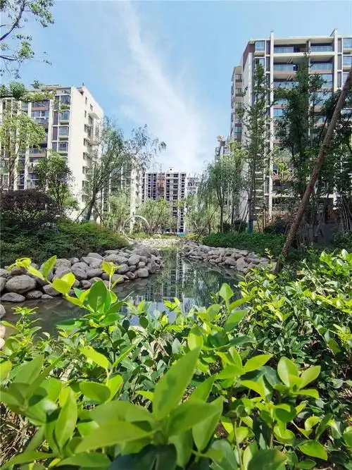 又是别人家的小区,竟然把"山水"搬进了自家园林中!