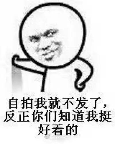 自拍我就不发了 反正你们知道我挺好看的 表情包