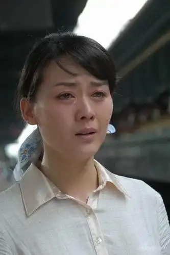 《红颜的岁月》播出 李琳借哭戏宣泄离婚抑郁