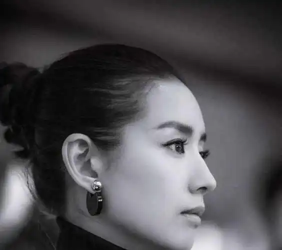 五位拥有高鼻梁的女星直到董洁出现后堪称人偶般的鼻梁