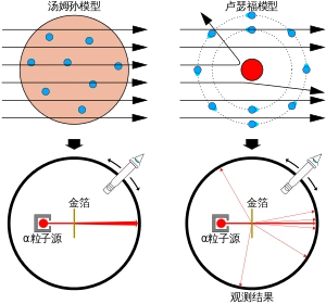 左图:从均匀原子核模型预测的α粒子散射情况,α粒子运动方向只会发生
