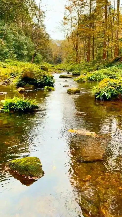 森林公园美景分享:#用镜头记录生活瞬间与美景 #湖南张家界