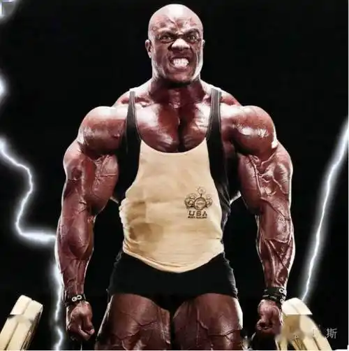 【手臂】健美界最好的手臂,菲尔西斯手臂训练安排_手机搜狐网