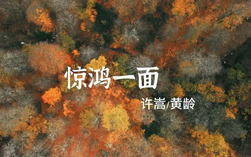 每日一首歌《惊鸿一面》 许嵩/黄龄
