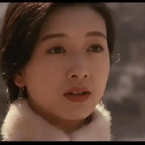 除了《过把瘾》中的"杜梅",江珊还参演过这些影视剧_合作_剧情_时间