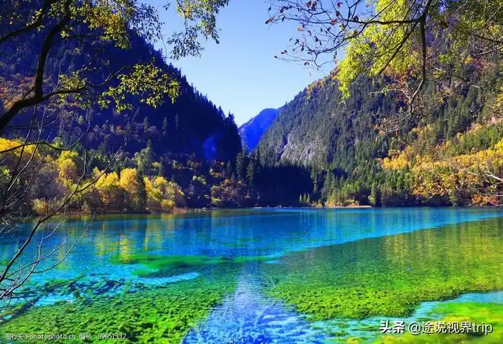 九寨沟在哪儿呢(世间最美的九寨沟,无比震撼的人间仙境)