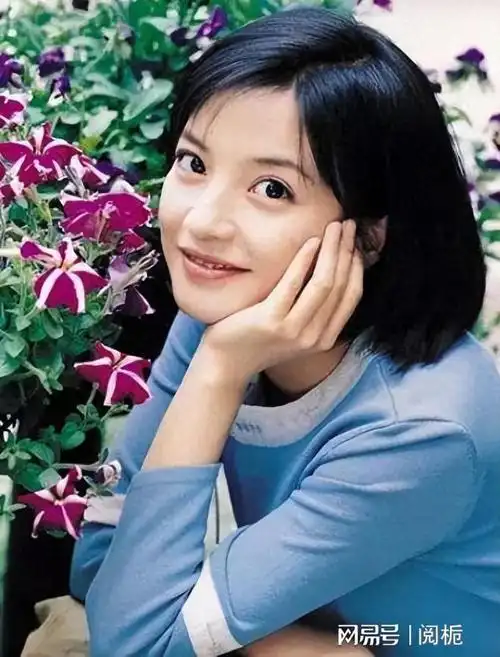 小燕子赵薇消失两年后看她如今的处境完全是自食其果