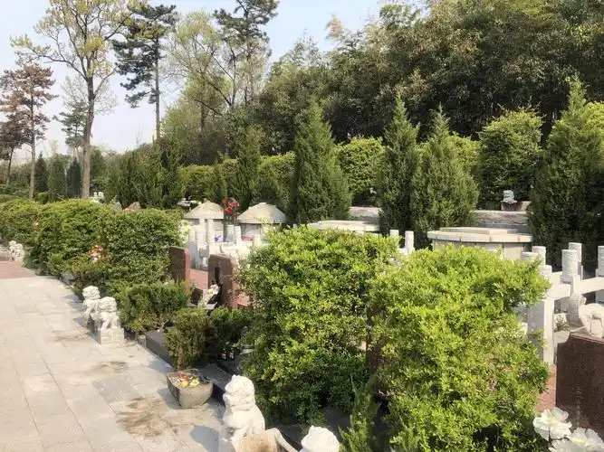 清明假期首日 市民有序文明祭扫