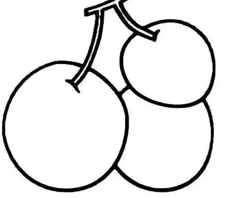 水果简笔画简单 水果简笔画简单又好看