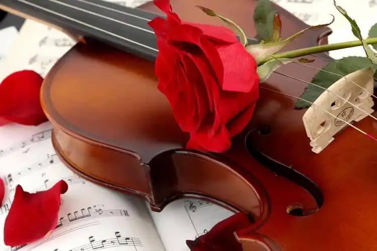 小提琴壁纸壁纸,高清图片,壁纸,创意设计-桌面城市