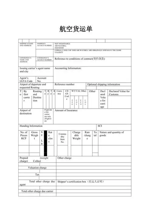 航空货运单样本_第1页