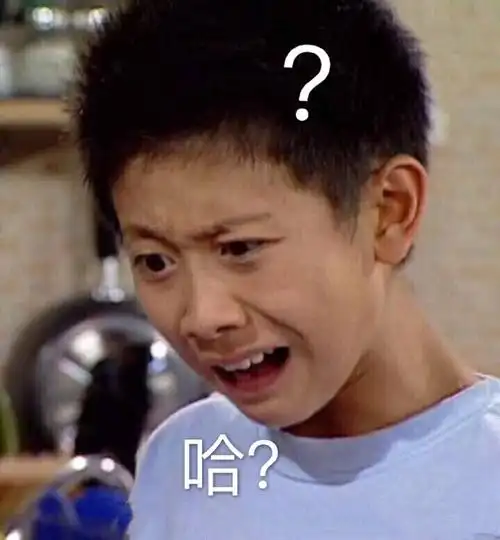 哈?疑惑(家有儿女刘星表情包)_刘星_家有_儿女_疑惑表情