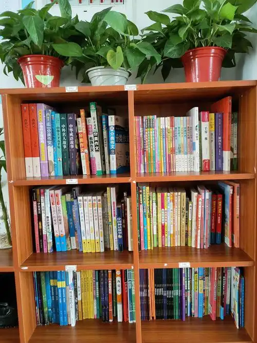 与书为友 精神敞亮——海口市秀英区康安学校五六年级特色书柜建设